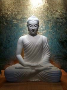 mudra buddha